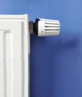 Customer Testimonials